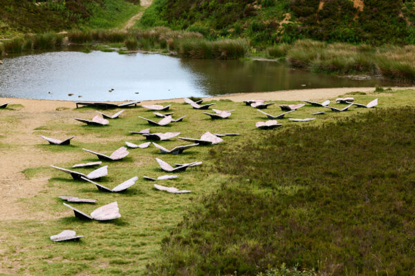 Wide view of pink marble butterfly sculptures spread across grassy ground near a small pond, framed by reeds and hillside vegetation in the background.