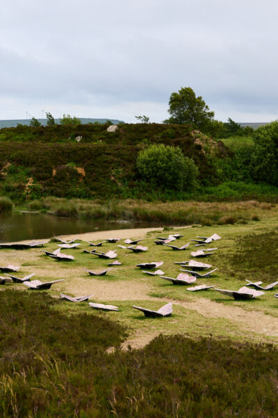 Angled view of marble butterfly sculptures positioned alongside a grassy path near a pond, with dense shrubbery and a tree-covered hill rising behind the scene under an overcast sky.