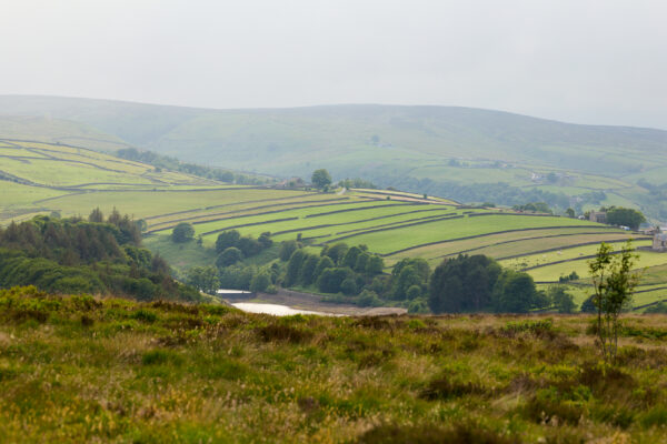 Sweeping view of terraced green fields edged by dry stone walls, with patches of woodland and a reservoir partially visible, under overcast skies in a hilly rural landscape.