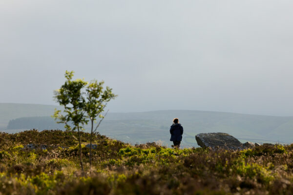 Person in a blue coat walking across heathery moorland past scattered rocks and a small tree, staring off into the distance at the landscape, with hazy hills and an overcast sky in the distance.