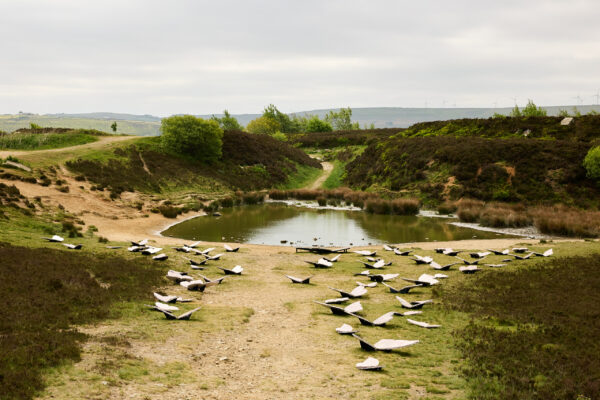 Pathway leading down to a reflective pond, lined on either side with marble butterfly sculptures scattered across grassy and sandy ground, surrounded by rolling hills under cloudy skies.