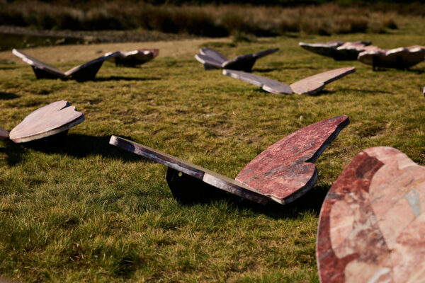 Close-up view of pink marble butterfly sculptures arranged across a grassy field, with sunlight casting shadows beneath their wing-like shapes.