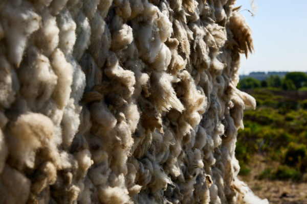 Close-up of rough, natural wool fibers densely packed on the surface of the wool arch sculpture, with blurred greenery and landscape visible in the background.