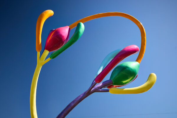 Close-up view of a brightly coloured abstract sculpture featuring looping yellow and orange rods intertwined with glossy, petal-like forms in pink, green, red and blue, set against a clear blue sky.