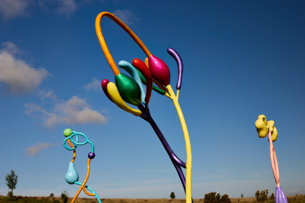 Large outdoor sculptures with brightly coloured, metallic looking, organic shapes and looping forms, clustered together in a grassy landscape under a clear blue sky.